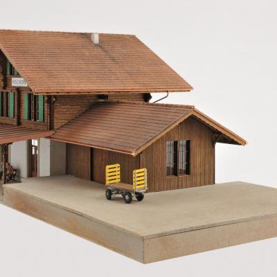 Gare de Rougemont / Rossinière (MOB)(Om)